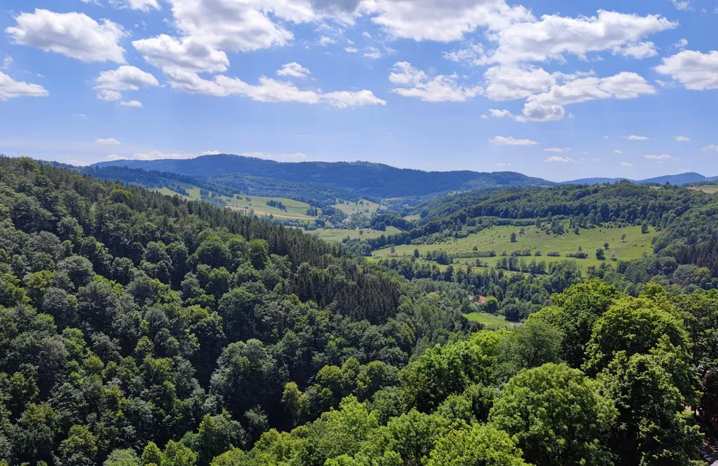 noclegi AlohaCamp Kukułka Resort 5