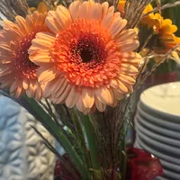 Patrycja Gastgebe Apartamenty Łasica Jaworki 