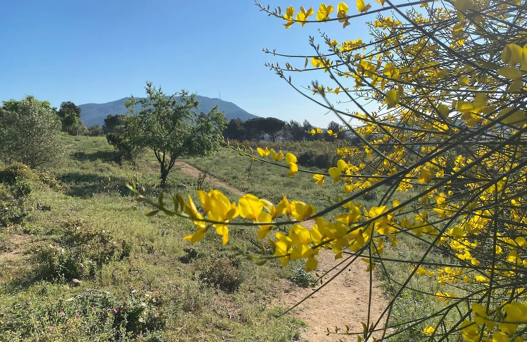Alojamiento en Almoster Bungalow para 3 personas en granja 1