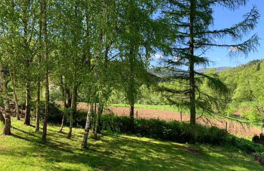 noclegi AlohaCamp Tylko tu Bieszczady Balia z jacuzzi i Sauna 1