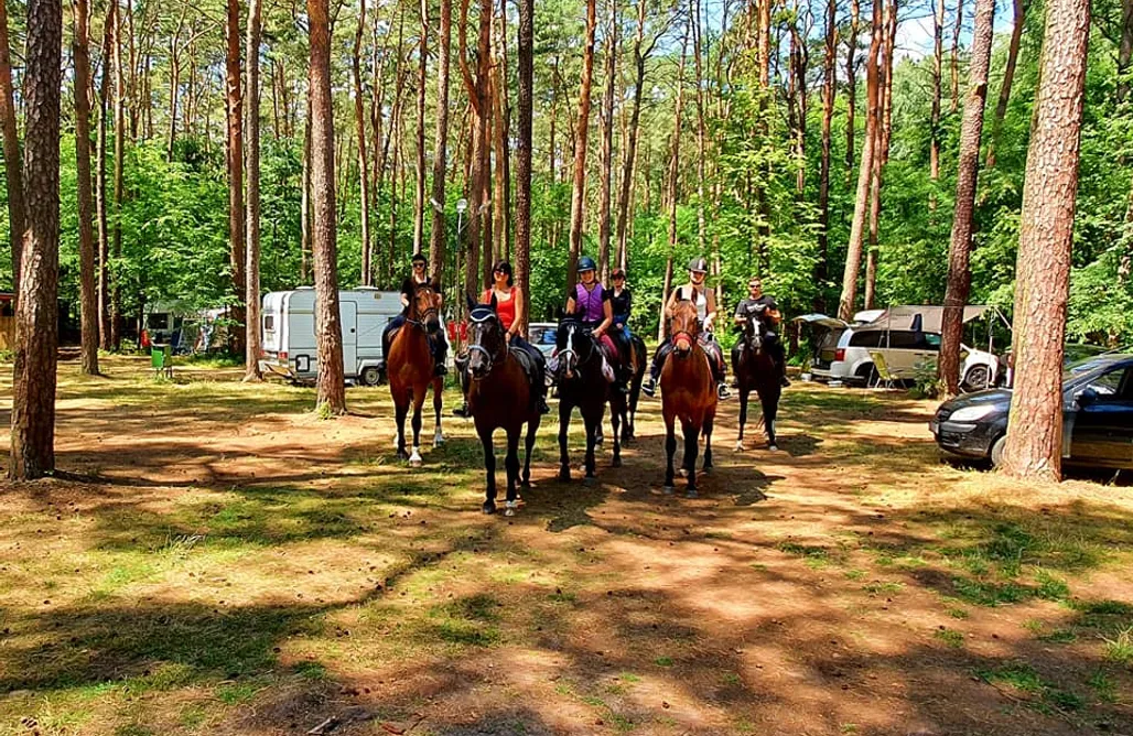 Miejsce kamperowe i namiotowe - Przystań Turawa AlohaCamp