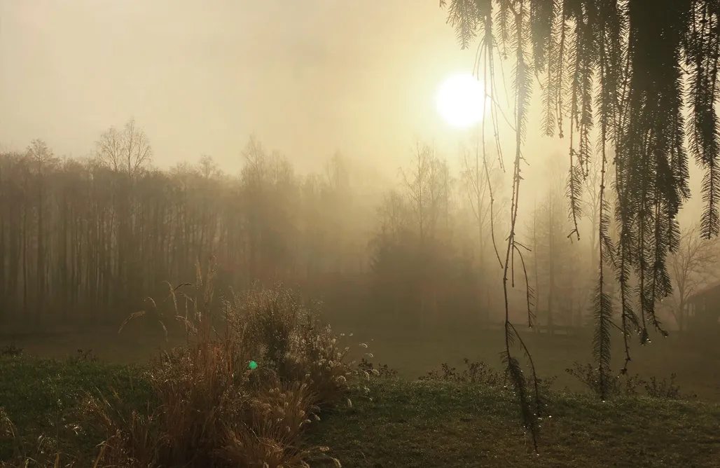 AlohaCamp Apartament nr 2 1