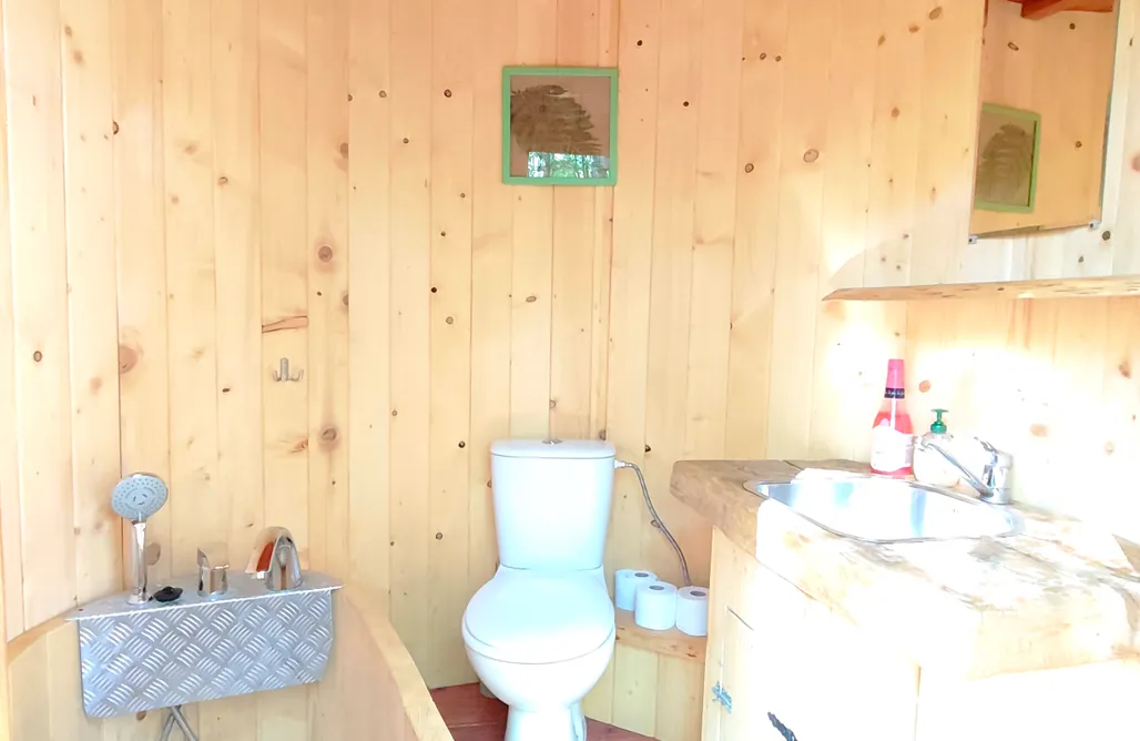 noclegi AlohaCamp Leśne Spanie Glamping domek na drzewie  1
