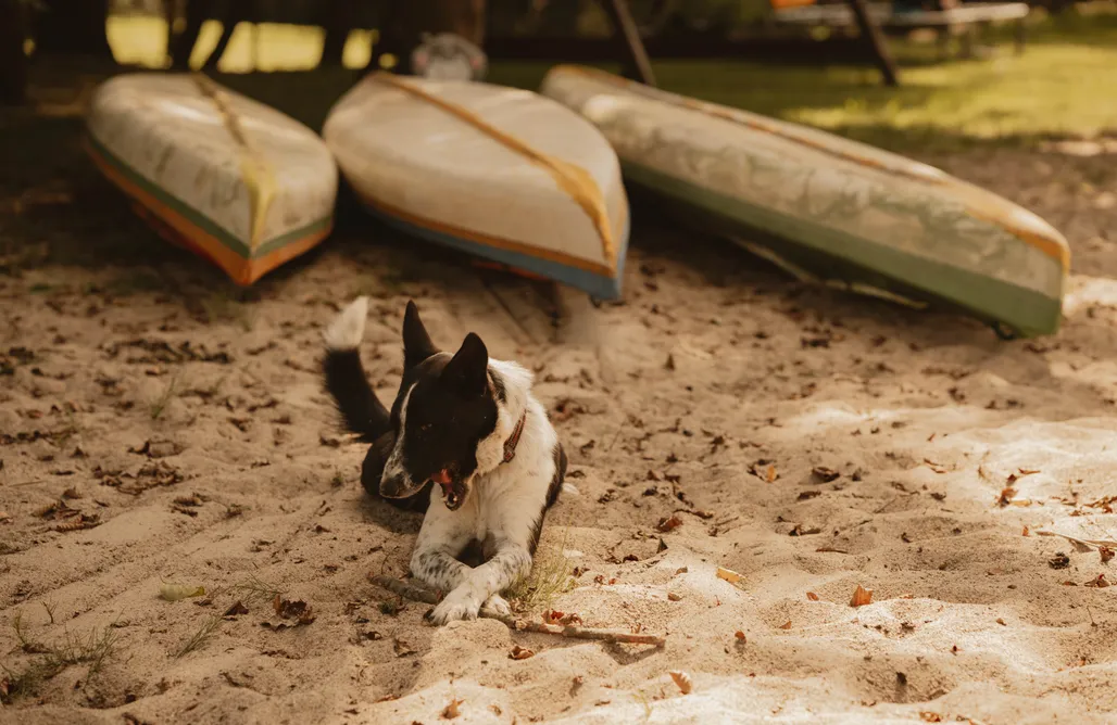 AlohaCamp accommodation Cudomki 4