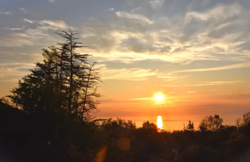 Imagen de Casa Rural La Gustoza La Negrita