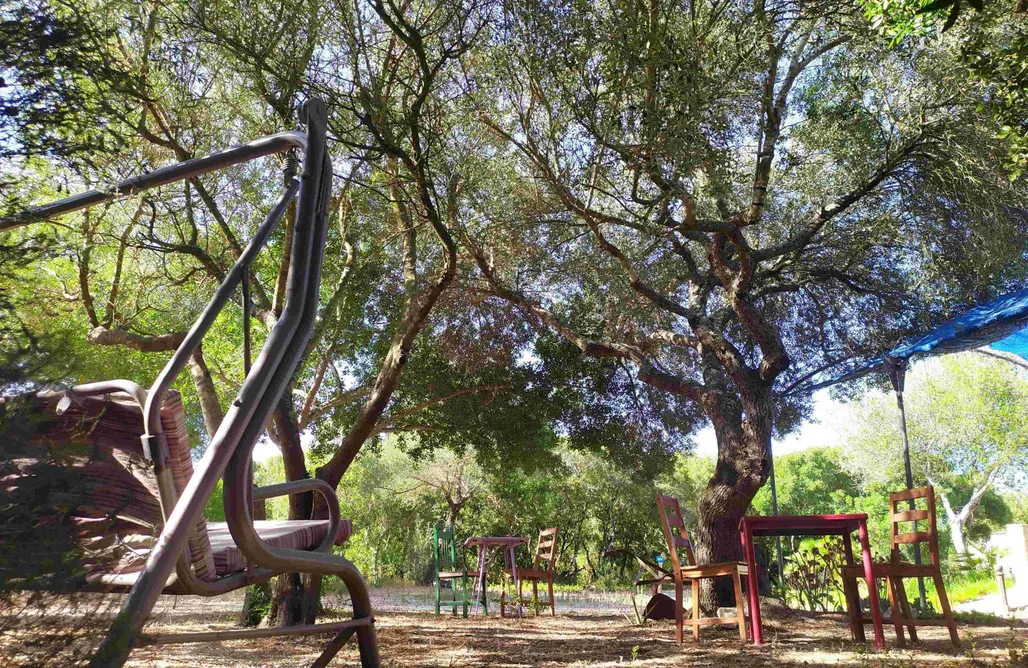 alojamientos AlohaCamp Tulpa Cadiz - Yurtas 5