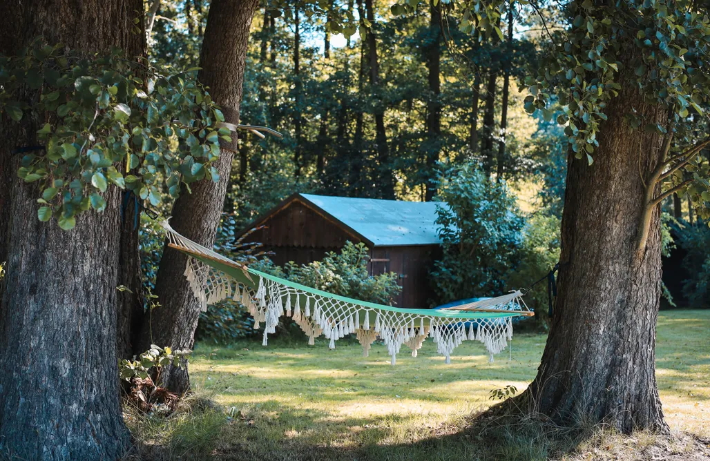 AlohaCamp accommodation Ferienhaus mit  Terrasse in der Mitte der Natur 5