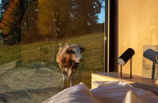 Zdjęcie obiektu Off Cabin