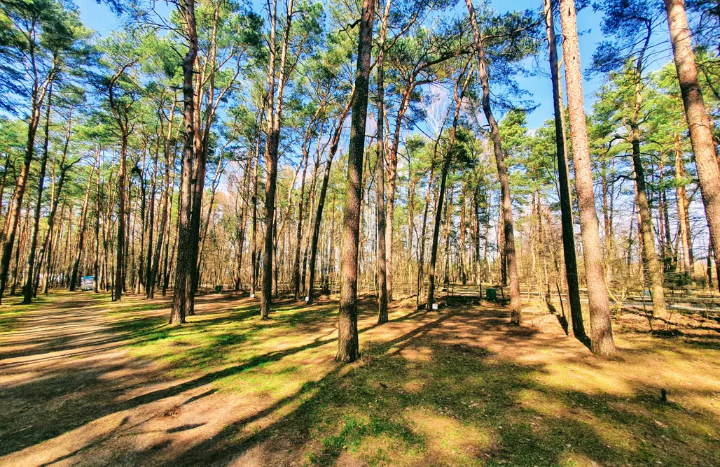 noclegi AlohaCamp Pole biwakowe - Przystań Turawa 4