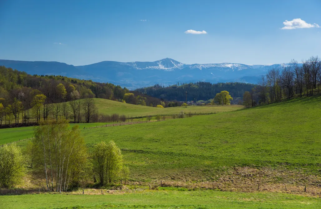 AlohaCamp Domek Beżowy 1