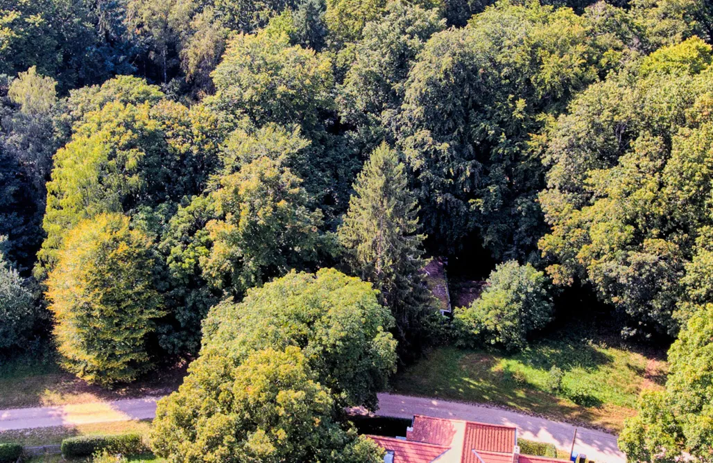 Unterkunft AlohaCamp Refugium im Wald 5