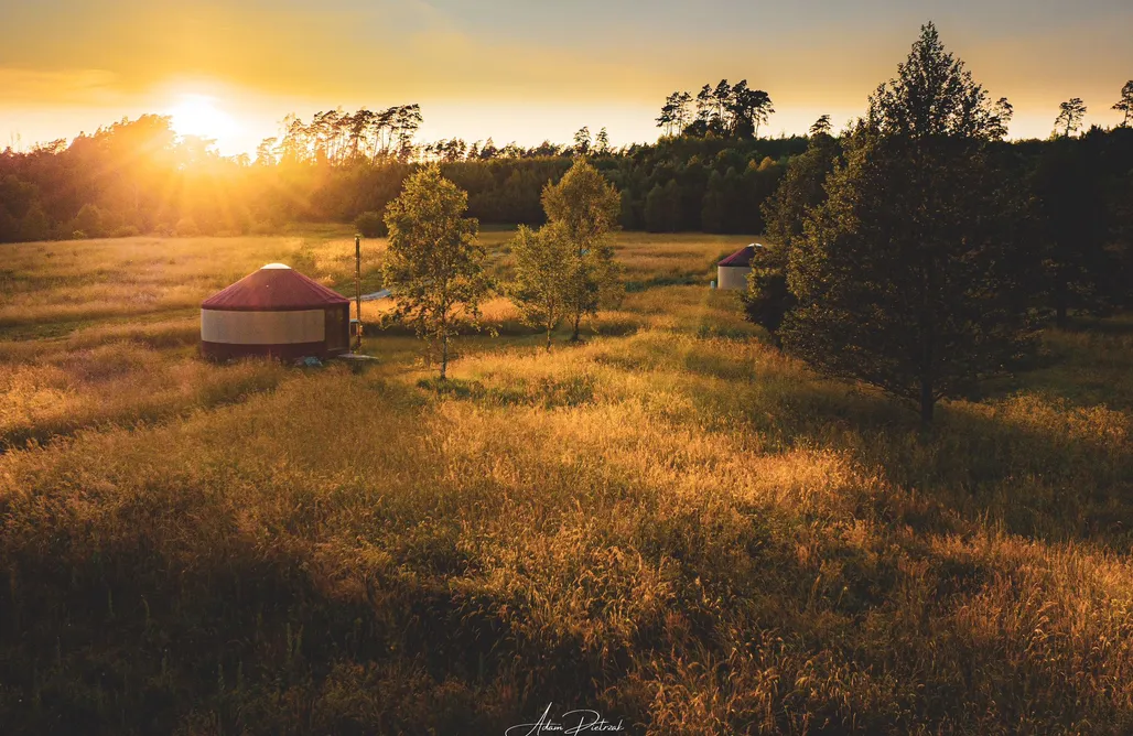 Unterkunft AlohaCamp Łąka Gwiazd - Glamping Jurty Czapla 2