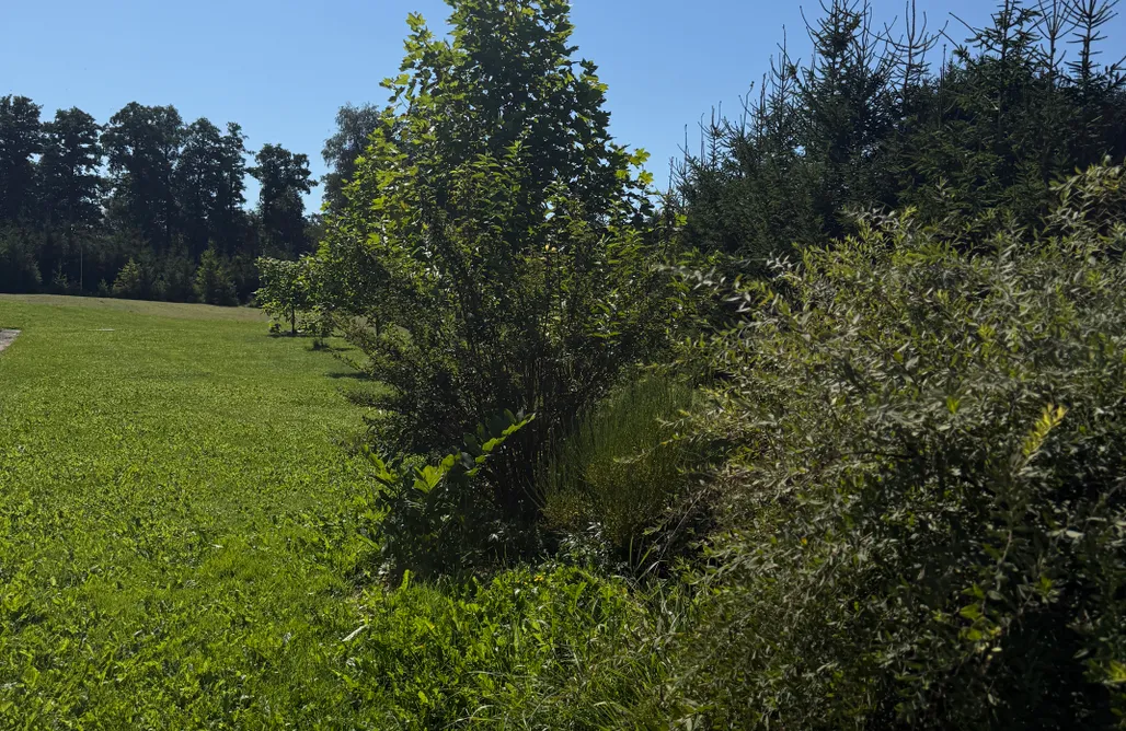 Polen Ferienhaus mit Pool Grünes Refugium in Krajenka – Grundstück zur Alleinnutzung 1
