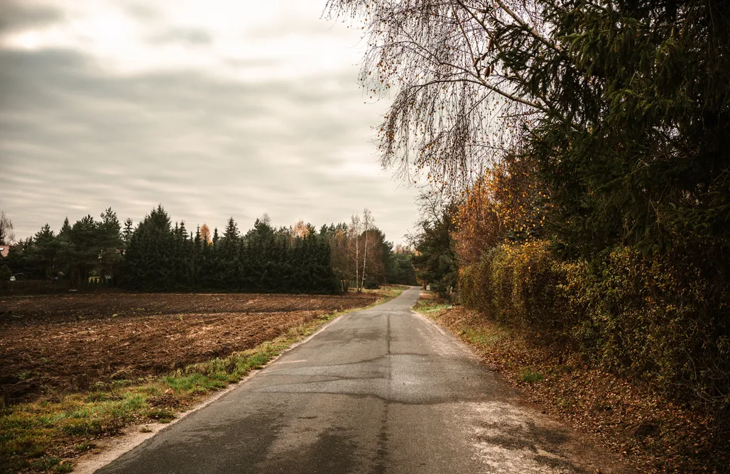 Wczasy z psem nad morzem Rajsco 1