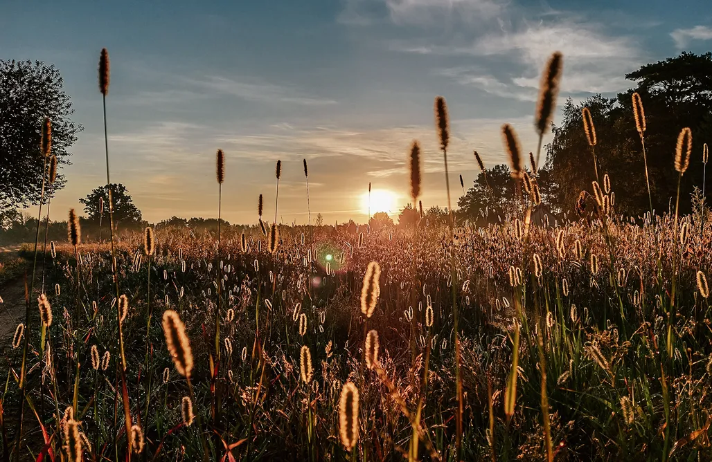 noclegi AlohaCamp Promowa17 - domek dla dwojga 5