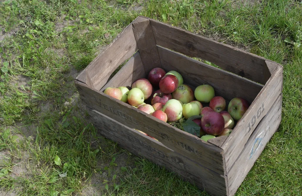 noclegi AlohaCamp Do Góry Kołami  1