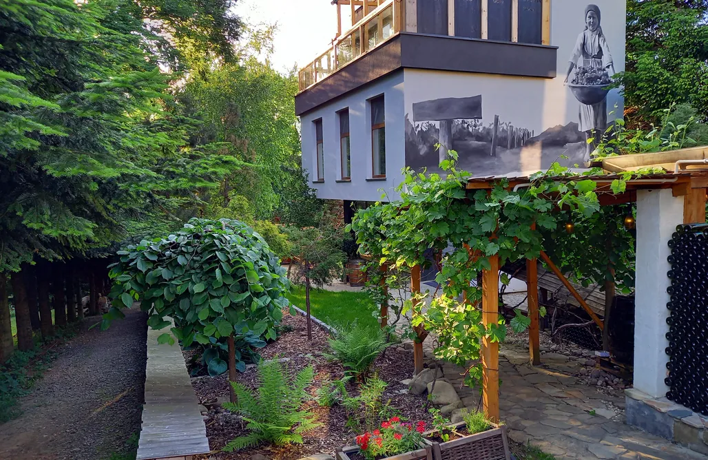 Pole namiotowe podkarpacie Miejsce kamperowe i namiotowe - Dom na Winnicy 2