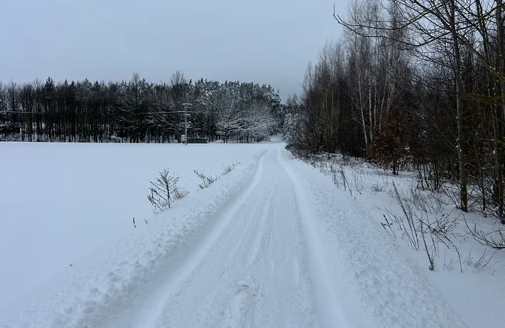 Domek Z Jacuzzi Kaszuby Blue Rabbit House 1