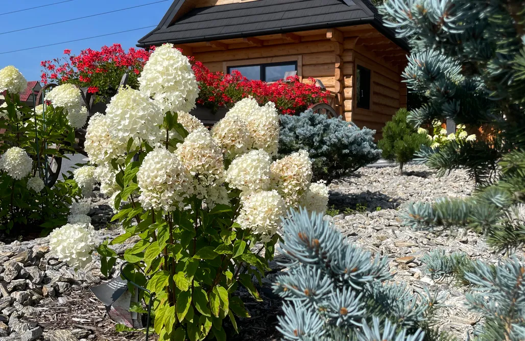 Domki nad Dunajcem Domki Na Wypasie - Białka Tatrzańska 1