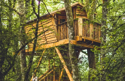 Imagen de Suites en los árboles