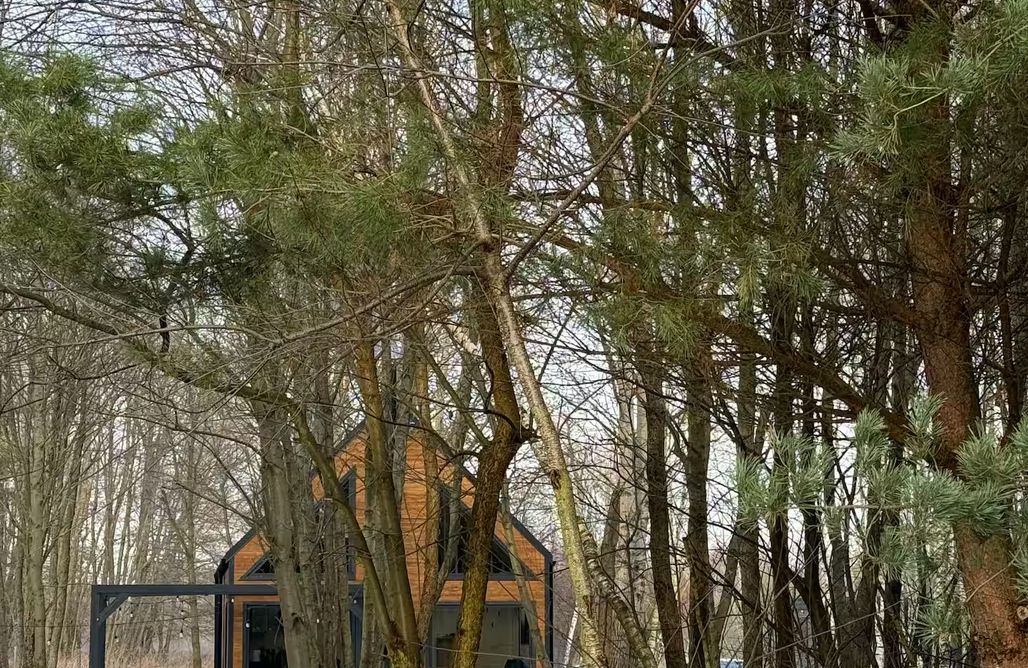 Bledzewo Domki GreenWood Dom z jakuzzi i furtką do lasu 1