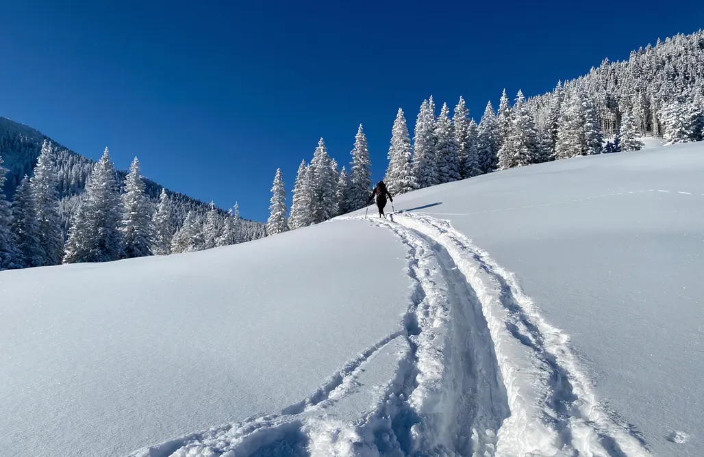 AlohaCamp Pokój nr 2 1