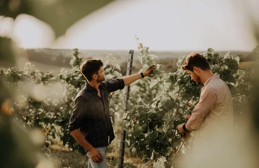 Zdjęcie obiektu Miejsce kamperowe - Winnica 55-100