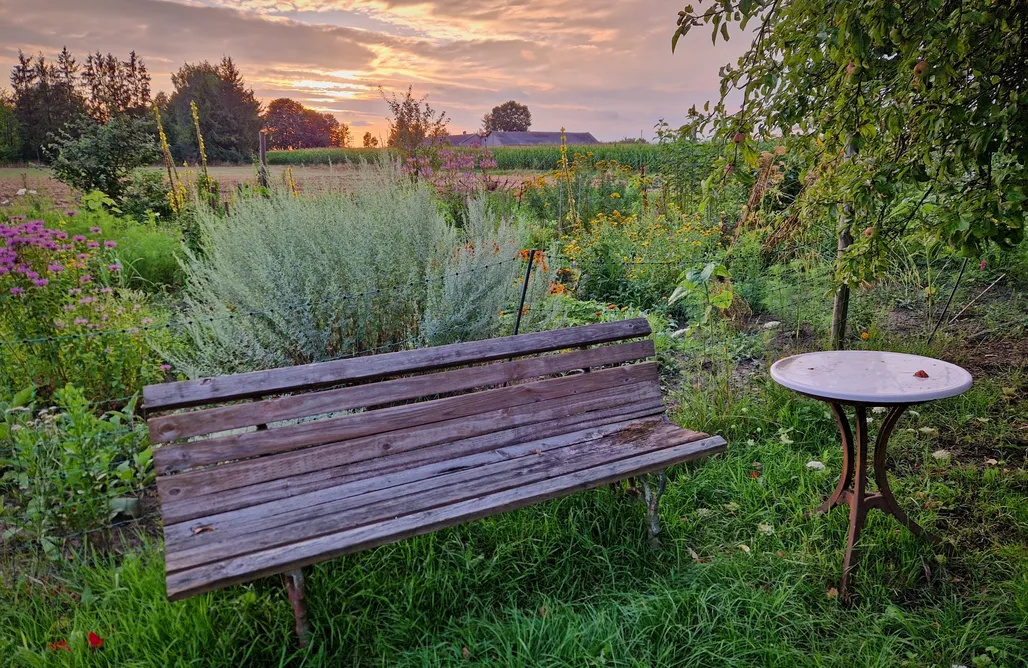 noclegi AlohaCamp Kampinski Lodge 1