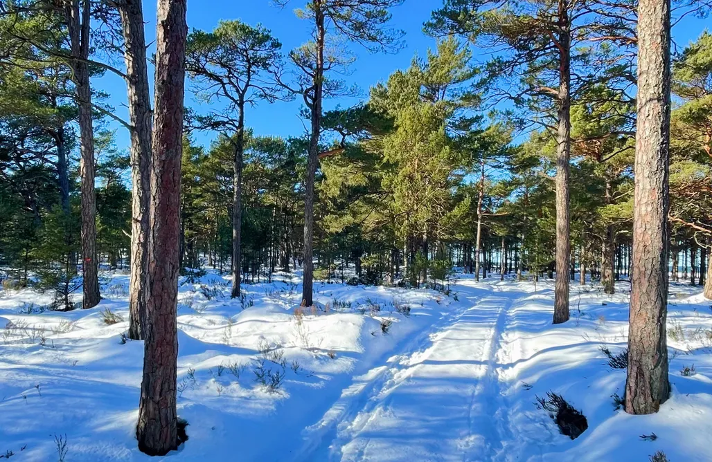 Alloggi AlohaCamp Morskie Domki Kopalino - domy nad morzem ul. Jeziorna 1
