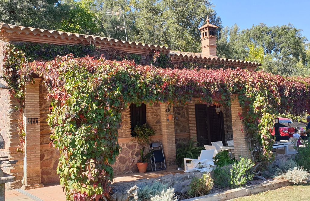 Cabañas con chimenea para dos personas Huerto Los Castaños 2