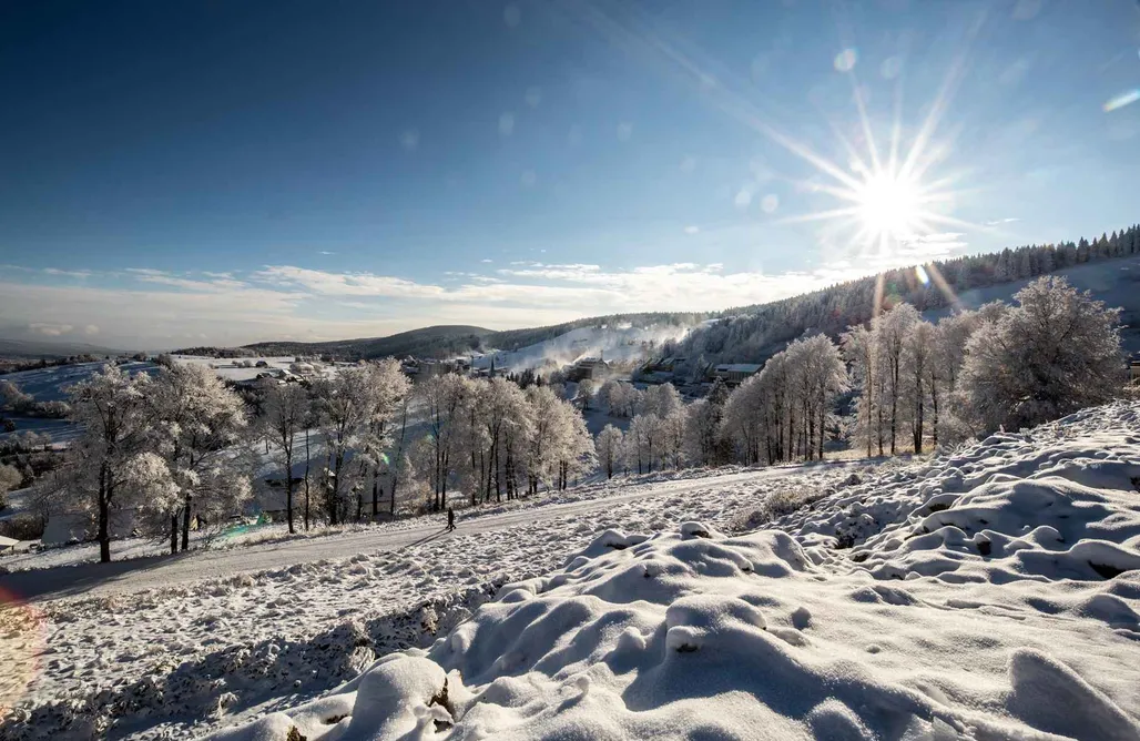 noclegi AlohaCamp Domki Osada Zieleniec 1
