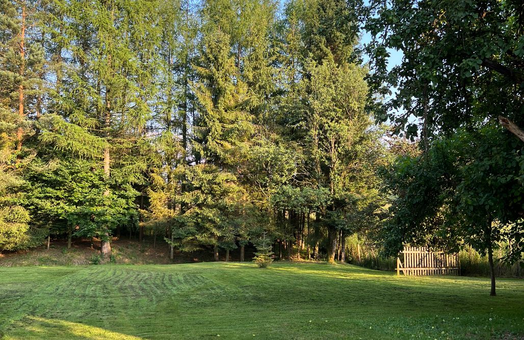 AlohaCamp Śpimy u Dziadków - apartament 1 1