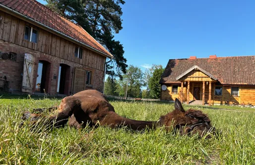 Zdjęcie obiektu Farma Puchałowo