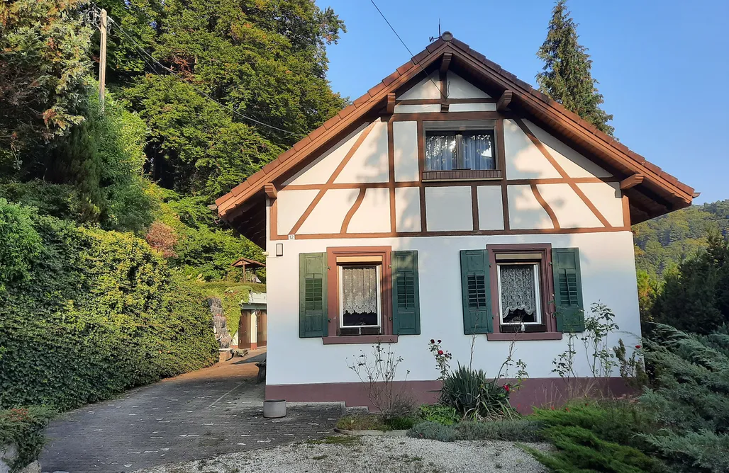 Last Minute Urlaub Ferienhaus am Schluchtensteig 1