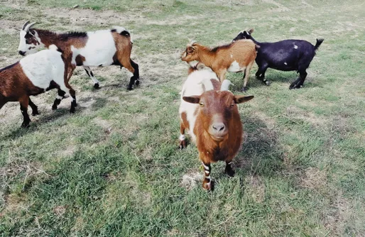 Imagen de Alojamiento Rural 