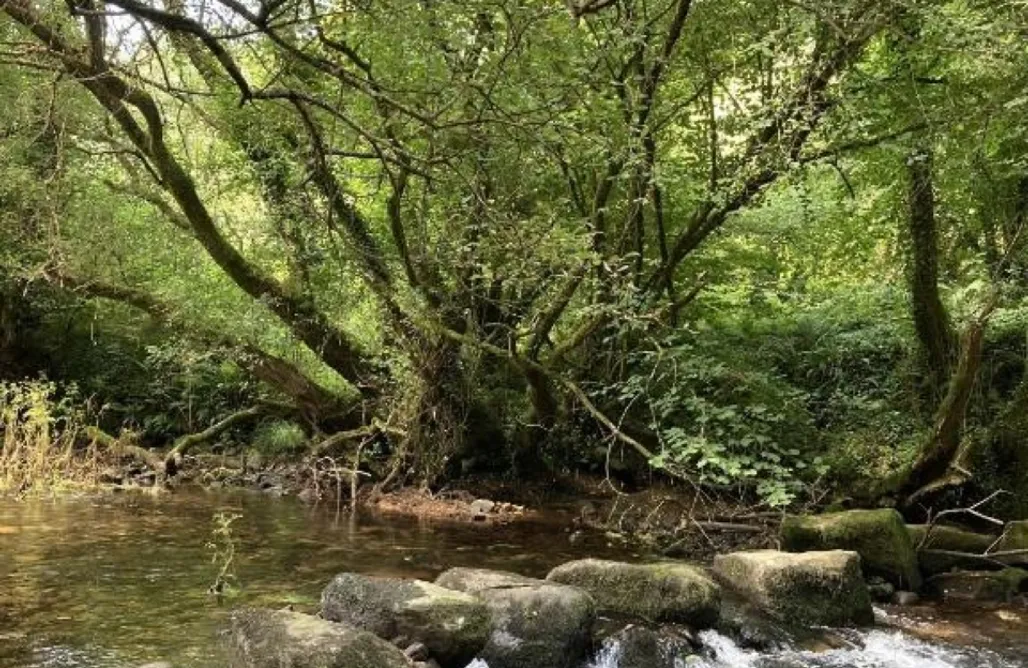 AlohaCamp accommodation A Quinta de Bouzas 1