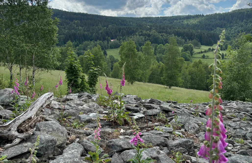 AlohaCamp Jurta Czerwona 1