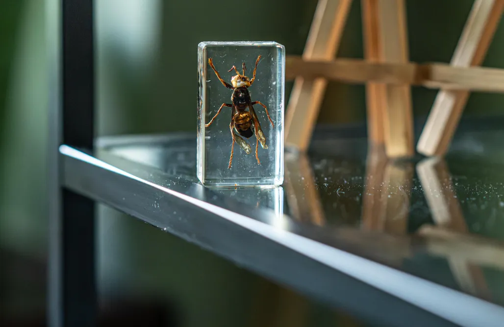 Leśne Serce AlohaCamp