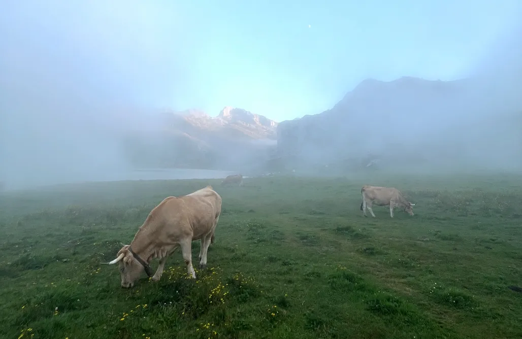 Alojamientos en Asturias Mu de Munay 3