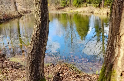 Zdjęcie obiektu Miejsce Kamperowe - Camping w sercu Kaszub