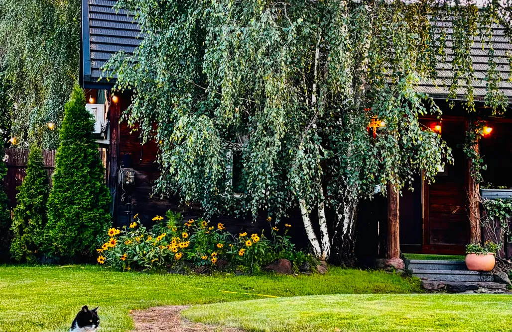 Glamping Podlaskie Chata Wędrowców 2