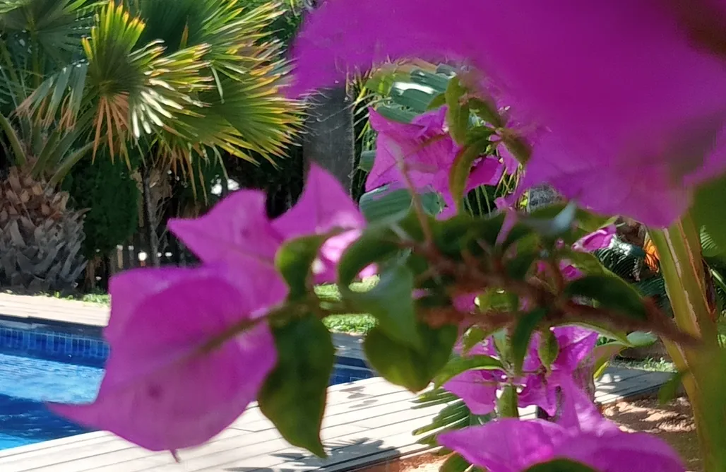 AlohaCamp Casa Buganvilla  1