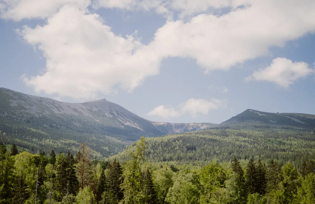 AlohaCamp Willa Tyrolczyk 1