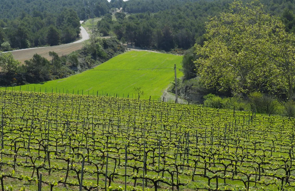 alojamientos AlohaCamp Masia Spa Can Pascol 1