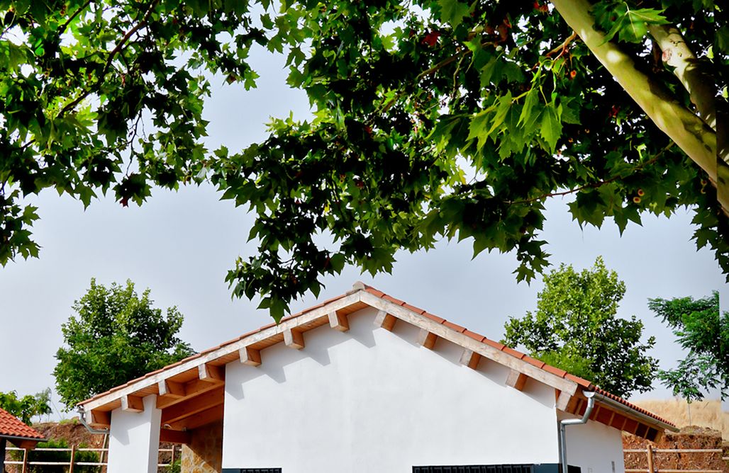 AlohaCamp Parcela  1