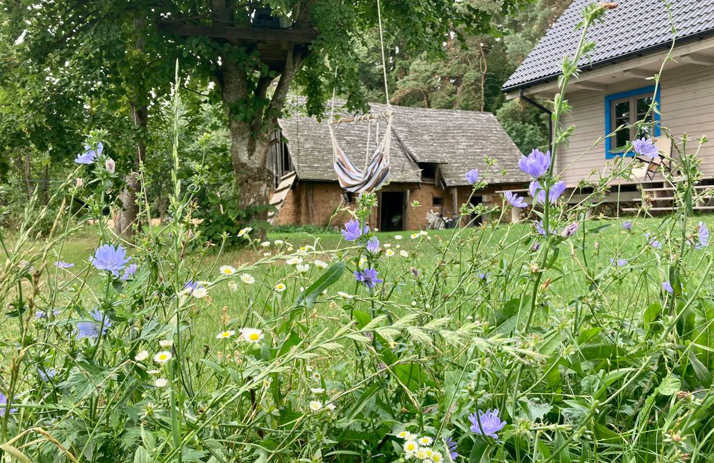 AlohaCamp Leszczewo 15 1