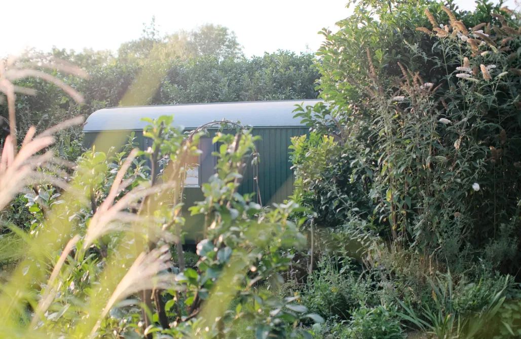 Tiny House Steinhuder Meer Tinyhouse Titania 3