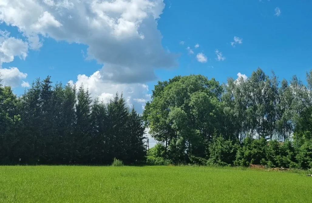 noclegi AlohaCamp Miejsce kamperowe - Kamperowisko Leleszki 3