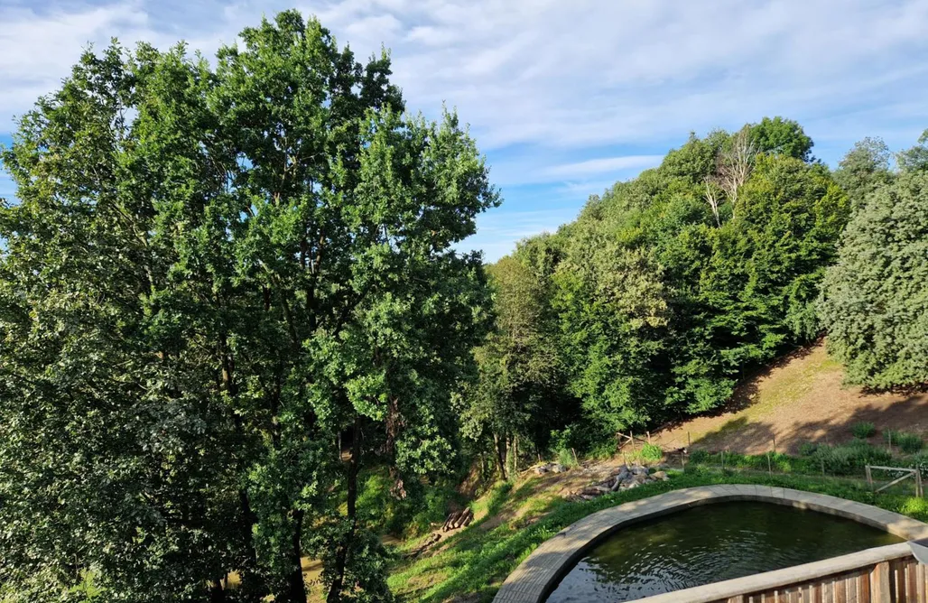 Janischhof 48 AlohaCamp