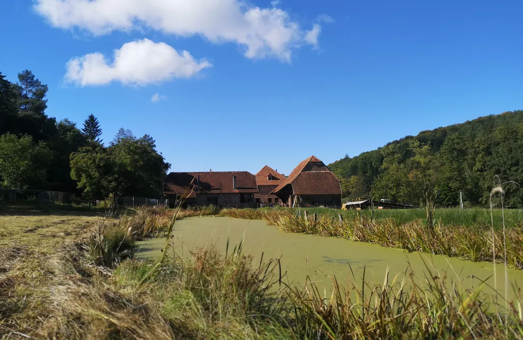 Chalet Schwarzwald Maison d'hôtes de charme 3